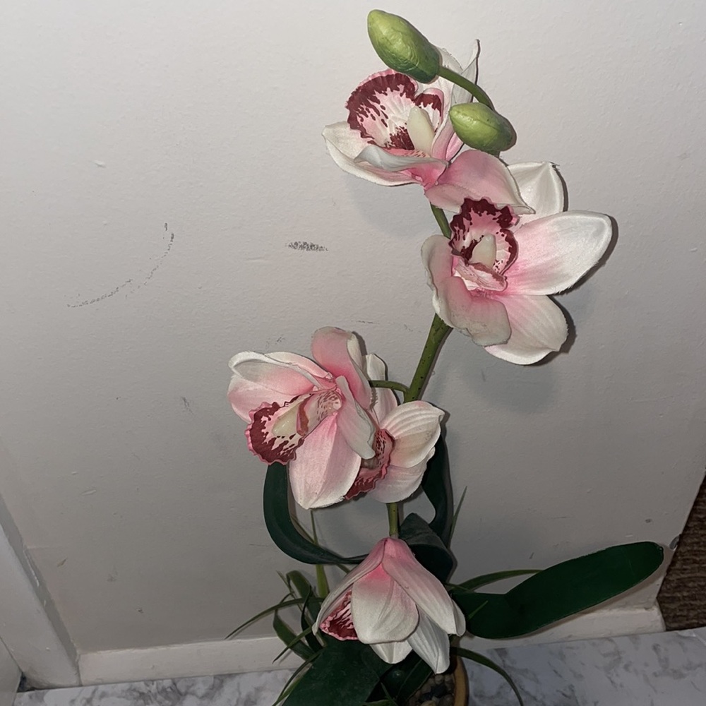 Home Decor - Picture 4 of 4